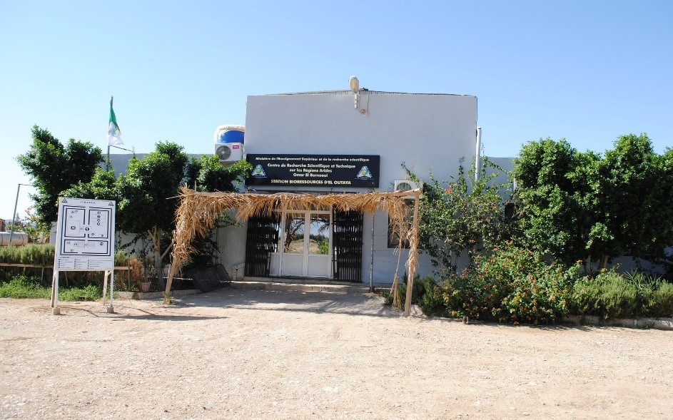 service-image