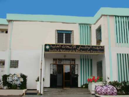service-image